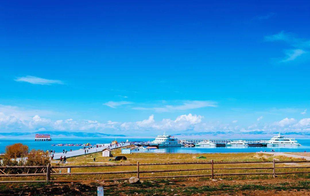 青海之韵,探索高原的独特魅力