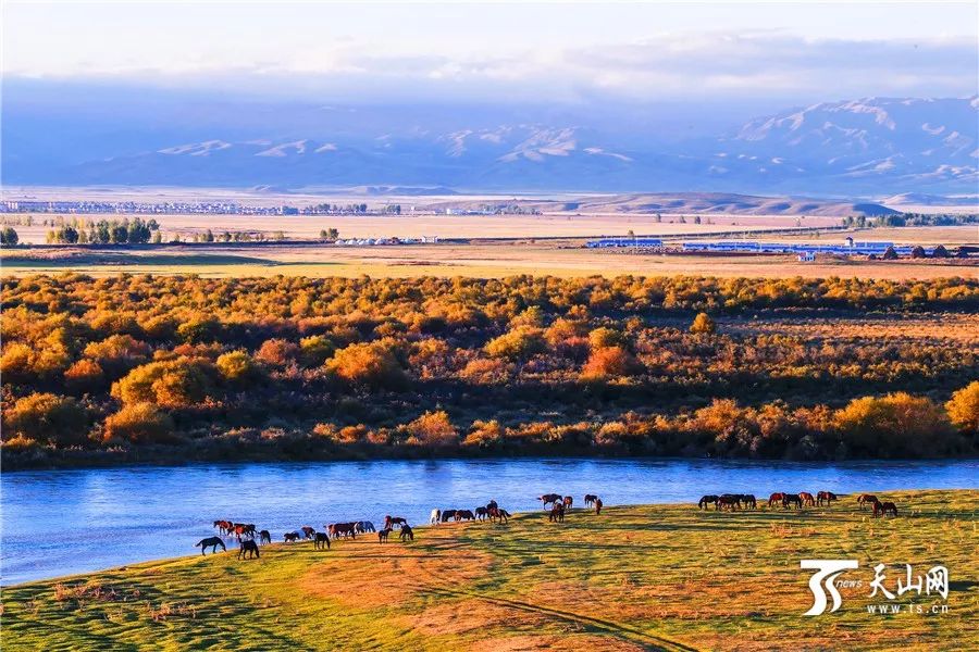 新疆,多元融合之魅力所在