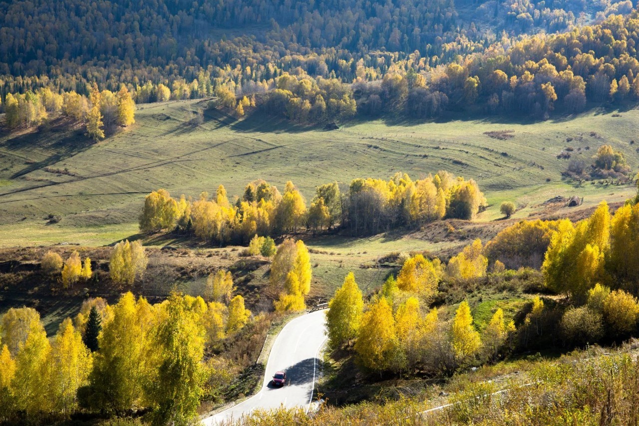 新疆,多元文化交融与民族和谐共生的魅力之地