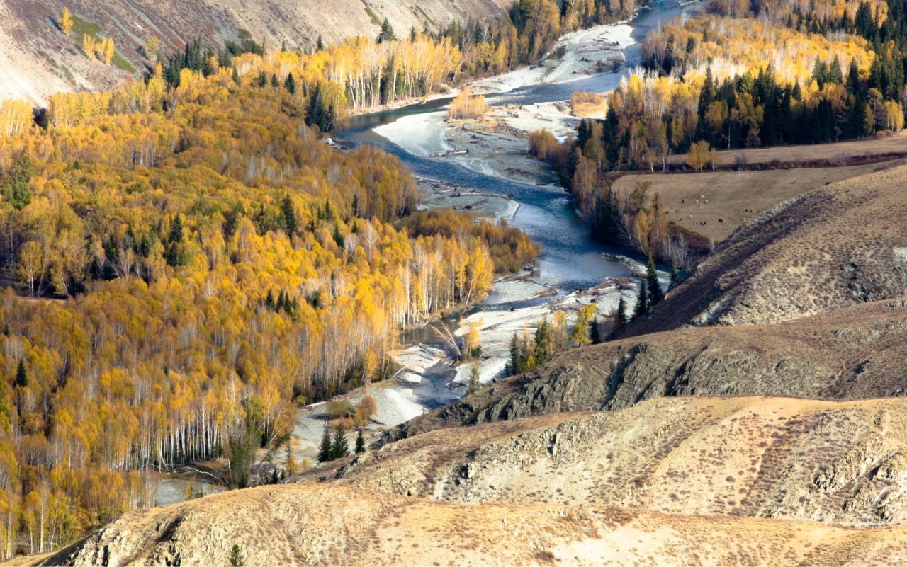 新疆,多元文化交融与民族和谐共生的魅力之地