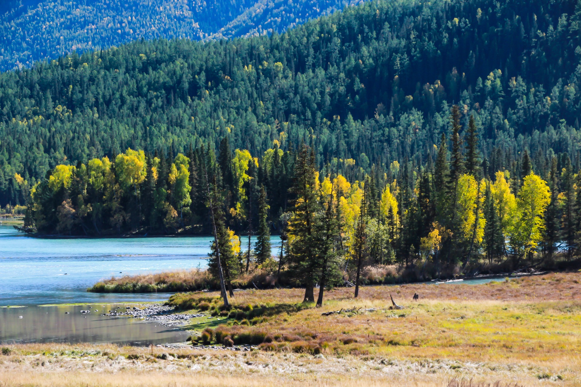 新疆,多元文化交融与民族和谐共生的魅力之地