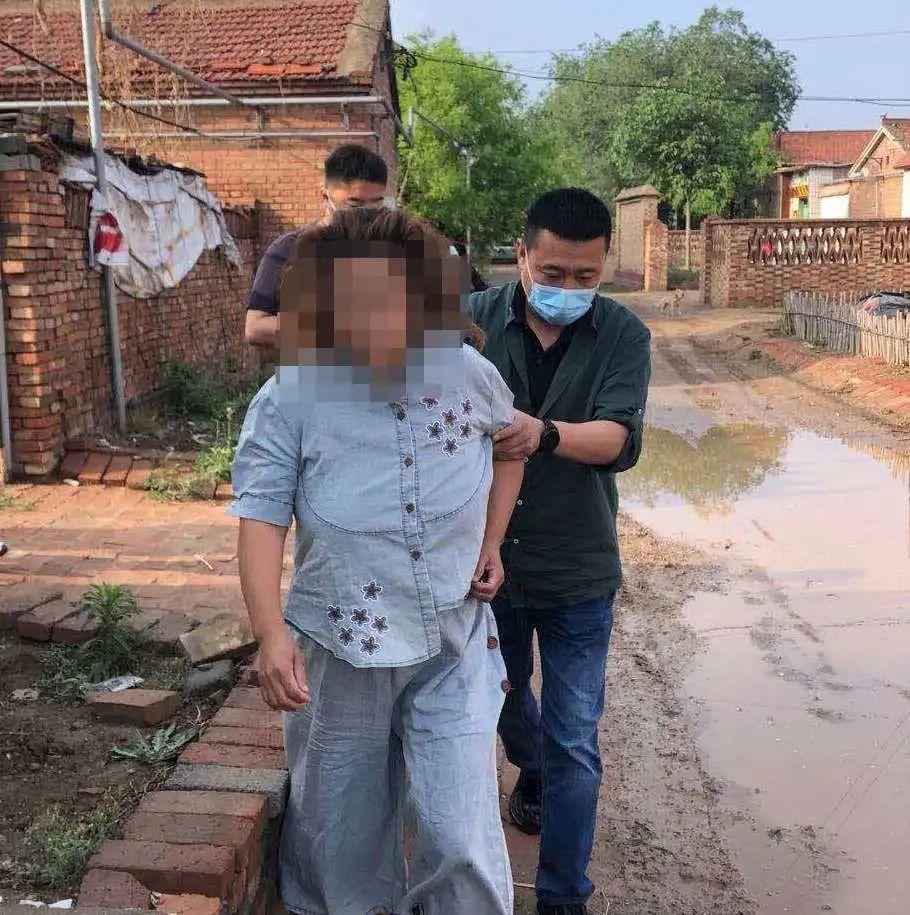 衡水,生态宜居之城崛起记