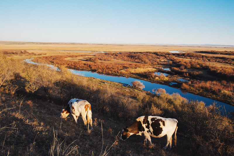 呼伦贝尔,草原之魂,自然之韵的韵味之旅
