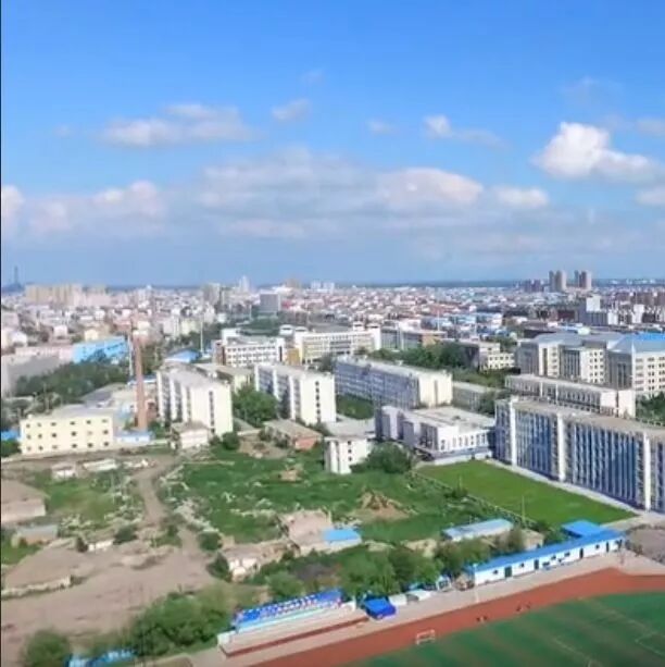 白城，深度解读与评论